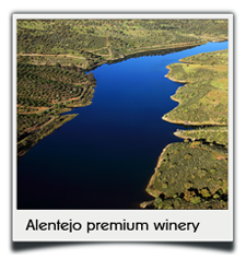 Private tours