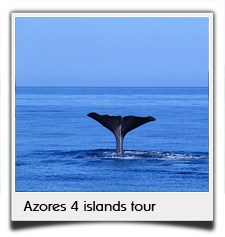 Private tours