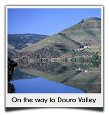 Private tours