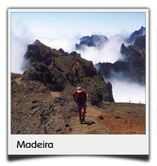Private tours