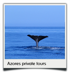 Private tours