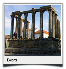 Private tours