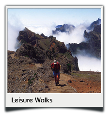 Private tours