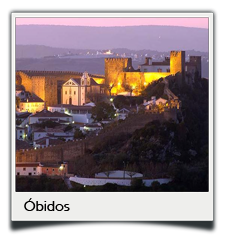 Private tours