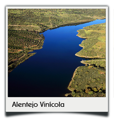 Private tours