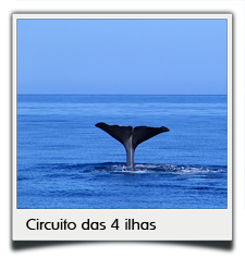 Private tours