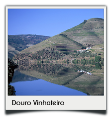Private tours