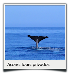 Private tours