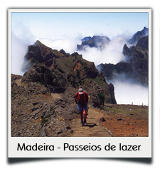 Private tours
